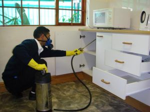 Apartman İlaçlama