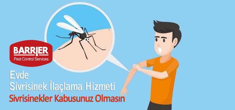 Evde Sivrisinek İlaçlama Hizmeti