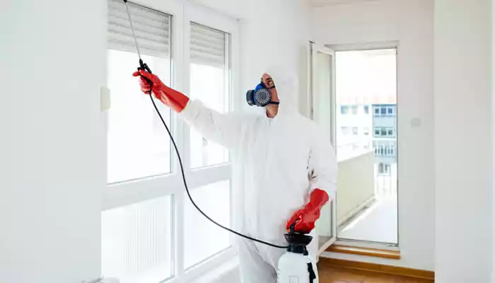 Ev ve Apartman Ortamlarında İlaçlama Uygulamaları Kapsamlı Rehberi ile Haşerelerden Kurtulun!