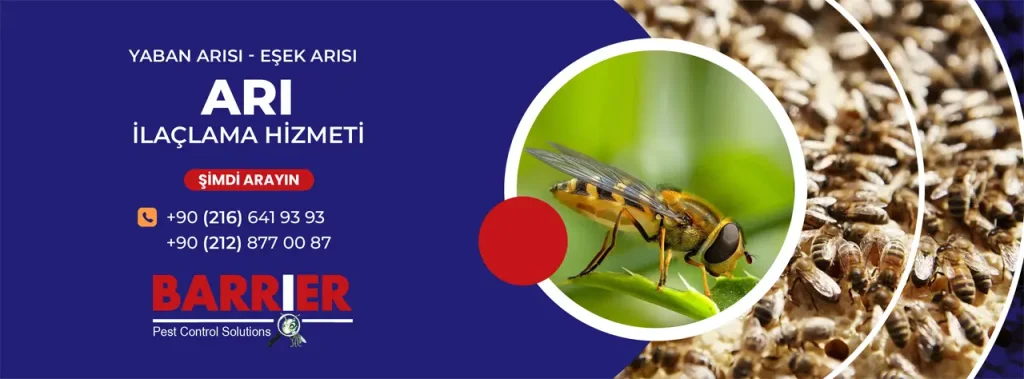 ARI İLAÇLAMA HİZMETİ