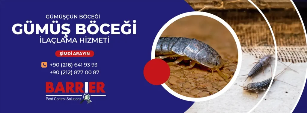 GÜMÜŞ BÖCEĞİ İLAÇLAMA İÇİN HEMEN BİZİ ARAYIN
