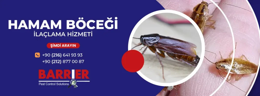 HAMAM BÖCEĞİ İLAÇLAMA HİZMETİ İÇİN BİZİ ARAYIN