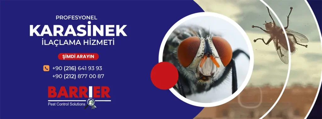 KARASİNEK İLAÇLAMA HİZMETİ