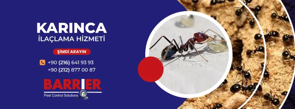 KARINCA İLAÇLAMA HİZMETİ İÇİN BİZİ ARAYIN