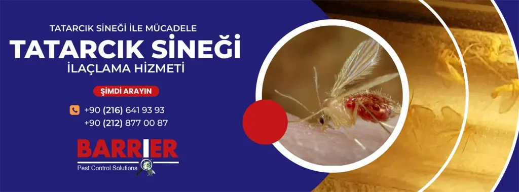 TATARCIK SİNEĞİ İLAÇLAMA