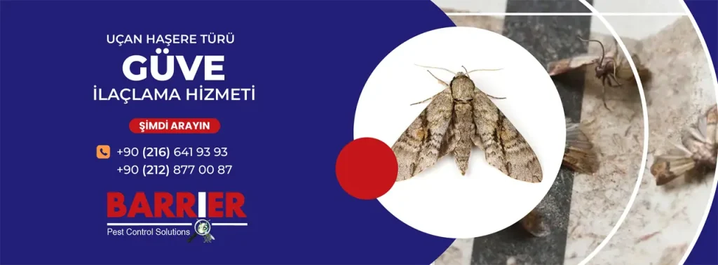 GÜVE İLAÇLAMA HİZMETİ